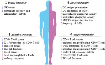 Sexual Dimorphism of Immune Responses: A New Perspective in Cancer Immunotherapy